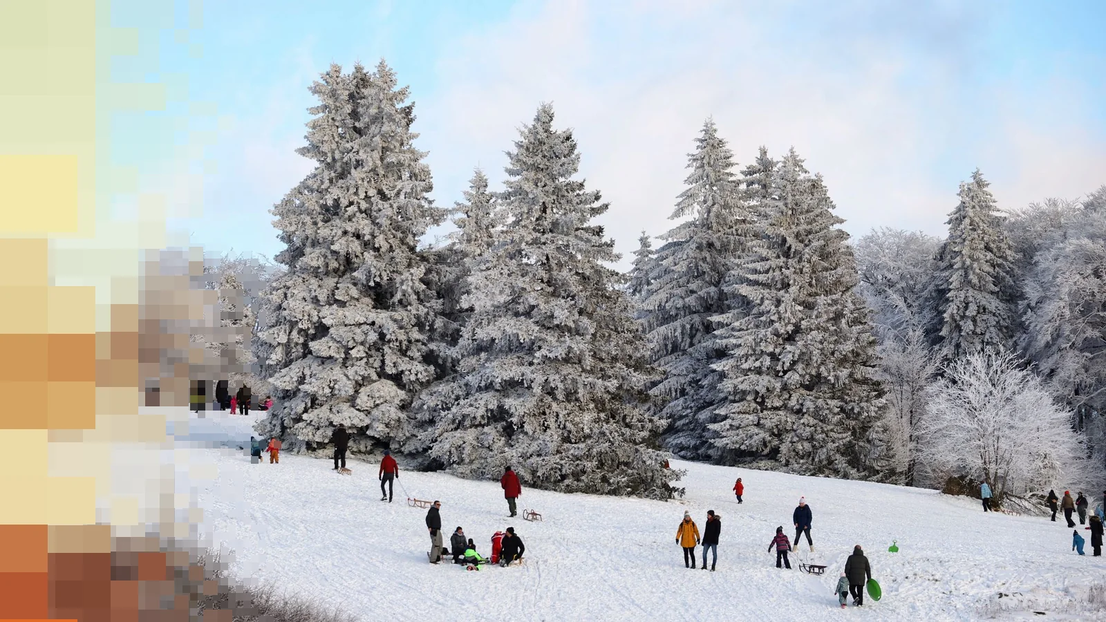 Mange små skikkelser med akebrett og kjelker spredt utover en bred, snødekt bakke foran høye, rimdekte grantrær