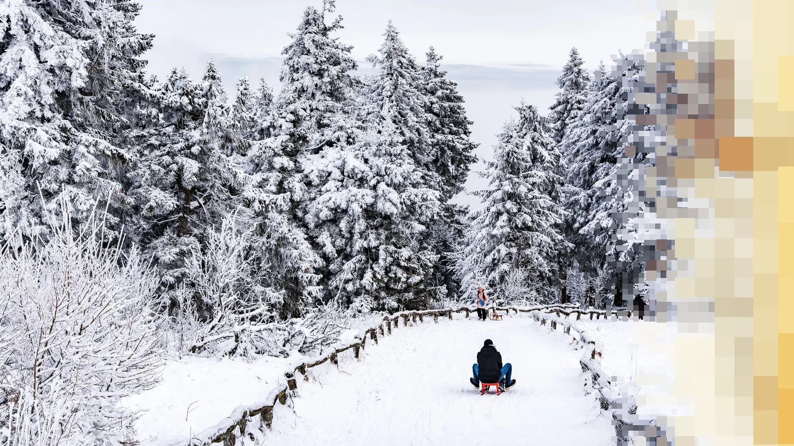 En person på en rød kjelke på vei ned en snødekt sti med trerekkverk mellom høye, rimdekte grantrær